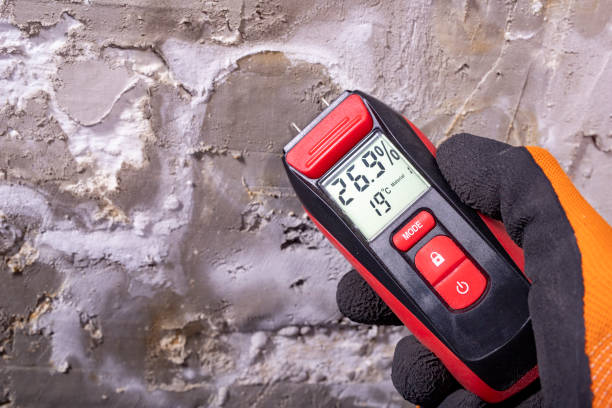 Best Mold Damage Repair  in Medina, TX