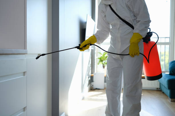 Home Mold Removal in Medina, TX