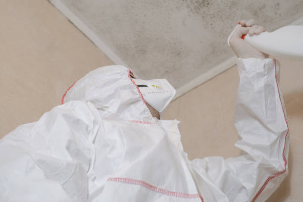 Best Attic Mold Removal  in Medina, TX